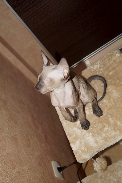 1361 X 2048 302.0 Kb   