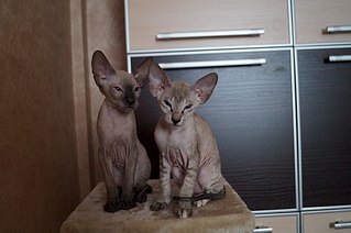 1920 X 1275 309.2 Kb   