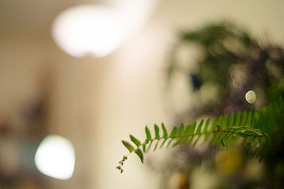 1100 X 731 215.3 Kb 1100 X 731 316.2 Kb 1100 X 731 420.9 Kb 1100 X 731 427.7 Kb -  sony nex