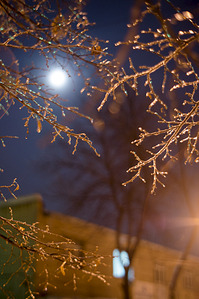 731 X 1100 452.4 Kb 1100 X 731 565.0 Kb -  sony nex