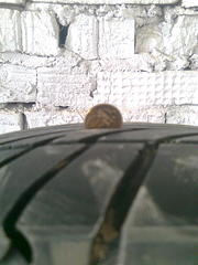 1200 X 1600 292.7 Kb 1200 X 1600 389.1 Kb   205/60/16 Danlop sport 5 .. 