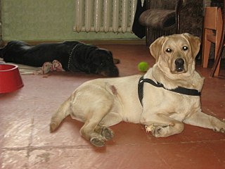 1280 X 960 166.6 Kb      .