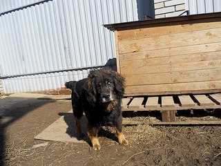 604 X 453  77.6 Kb Пенсионный фонд им.Миши Овчаркина