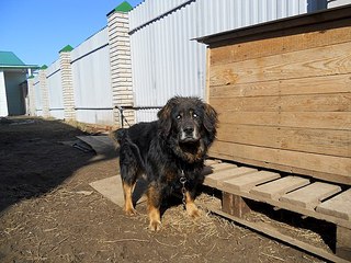 604 X 453  75.5 Kb 604 X 453  77.6 Kb Пенсионный фонд им.Миши Овчаркина