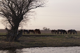 1920 X 1265 880.5 Kb 1920 X 1290 850.0 Kb      ' '