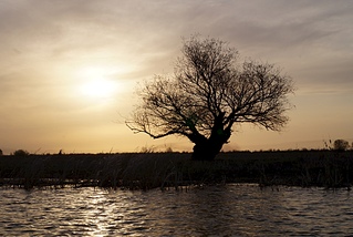 1920 X 1285 795.1 Kb 1920 X 1265 880.5 Kb 1920 X 1290 850.0 Kb      ' '