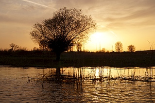 1920 X 1275 939.2 Kb 1920 X 1248 644.3 Kb 1920 X 1285 795.1 Kb 1920 X 1265 880.5 Kb 1920 X 1290 850.0 Kb      ' '