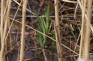 1920 X 1275 749.9 Kb 1920 X 1275 705.4 Kb 1920 X 2890 293.0 Kb      ' '