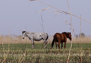 1920 X 1338 509.2 Kb 1920 X 1275 749.9 Kb 1920 X 1275 705.4 Kb 1920 X 2890 293.0 Kb      ' '