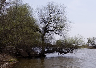 1920 X 1371 361.9 Kb 1920 X 1338 509.2 Kb 1920 X 1275 749.9 Kb 1920 X 1275 705.4 Kb 1920 X 2890 293.0 Kb      ' '