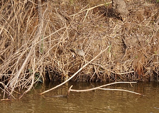 1920 X 1357 364.5 Kb 1920 X 1276 848.1 Kb      ' '