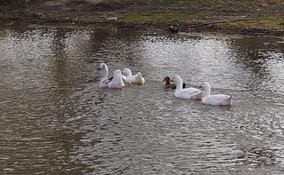 1920 X 1184 827.5 Kb 1920 X 1357 364.5 Kb 1920 X 1276 848.1 Kb      ' '