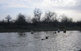 1920 X 1215 669.5 Kb 1920 X 1184 827.5 Kb 1920 X 1357 364.5 Kb 1920 X 1276 848.1 Kb      ' '