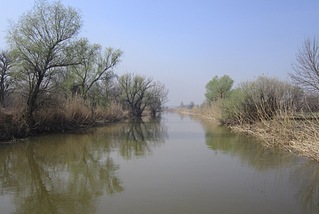 1920 X 1288 619.7 Kb 1920 X 1439 828.5 Kb 1920 X 1440 560.9 Kb      ' '