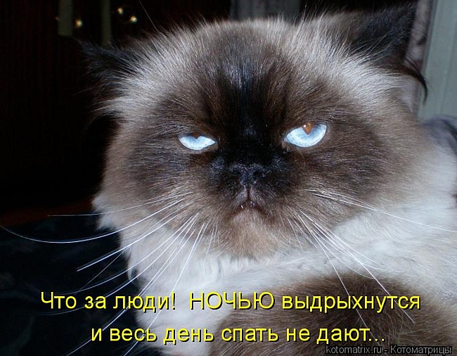 650 x 506 Улыбнемся?