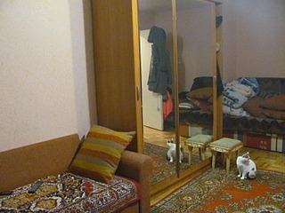 1600 X 1200 221.5 Kb 1600 X 1200 217.8 Kb 1-ком. кв. на Сабурова, 23-а 6/12 к, улучшенка