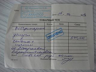 1024 X 768 87.5 Kb 1024 X 768 83.5 Kb Собаку со щенками выбросили около школы N66. Нужна помощь!