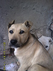 1536 X 2048 502.8 Kb   !