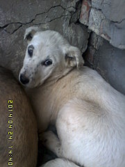 1536 X 2048 470.5 Kb 1536 X 2048 516.8 Kb 1536 X 2048 502.8 Kb   !