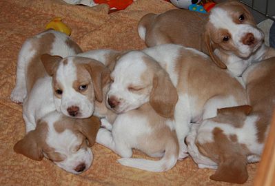 1920 X 1300 237.7 Kb -, !  'Prime Pride'