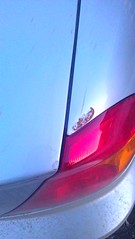 1840 X 3264 881.4 Kb     