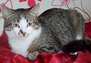 1326 X 923 990.4 Kb : -1, -2. -3