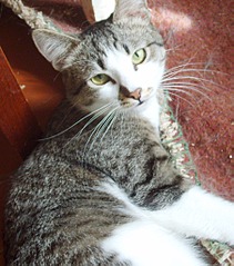 901 X 1022 761.8 Kb 1326 X 923 990.4 Kb : -1, -2. -3