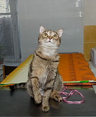 1628 X 1999 324.4 Kb     