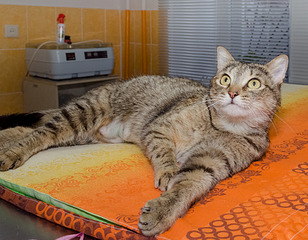 1920 X 1493 895.0 Kb     