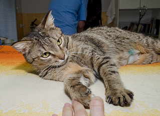 1920 X 1401 776.4 Kb     