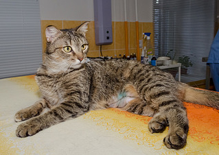 1920 X 1360 756.4 Kb     