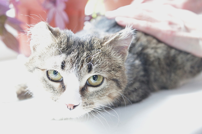 1920 X 1280 673.6 Kb     - -  