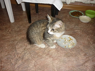 1920 X 1440 716.6 Kb  