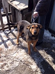 720 X 960 224.0 Kb ! -   