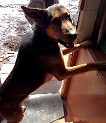 828 X 960 167.9 Kb 720 X 960 224.0 Kb ! -   