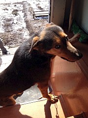 720 X 960 173.4 Kb 828 X 960 167.9 Kb 720 X 960 224.0 Kb ! -   