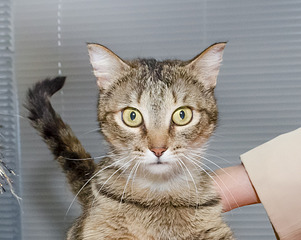 1920 X 1528 696.8 Kb     