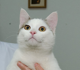 1920 X 1671 486.5 Kb    