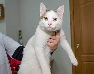 1920 X 1517 458.5 Kb 1920 X 1671 486.5 Kb    