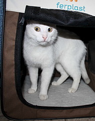 1920 X 2437 985.9 Kb 453 X 604 49.5 Kb 1920 X 2353 601.3 Kb 1207 X 2410 152.6 Kb     