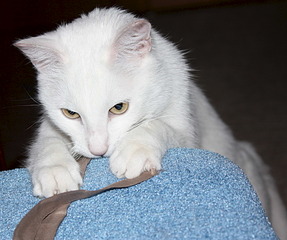 1920 X 1602 724.2 Kb 1813 X 1958 188.9 Kb 1920 X 1280 330.6 Kb 1920 X 1280 364.7 Kb 1920 X 742 250.2 Kb     