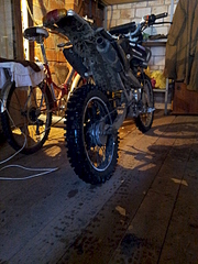 1920 X 2560 352.5 Kb  Hobo