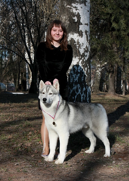 1144 X 1611 886.1 Kb 26 апреля 2014 года выставка собак, клуб 'Фауна' г. Ижевск