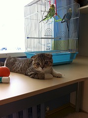 1920 X 2570 402.5 Kb        