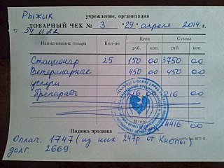 1280 X 960 194.9 Kb 1280 X 960 170.9 Kb Прошу разрешение на финансирование стерилизации 2-х кошек из подвала