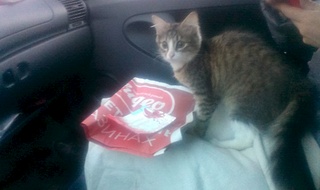 1920 X 1140 434.1 Kb  