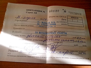 1920 X 1440 608.5 Kb 1920 X 2560 505.5 Kb Жесть... Собаку сбил поезд... Собаке помощь и поддержка просто необходимы!