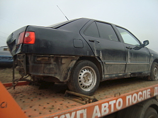 640 X 480 119.1 Kb  : Cheri Amulet