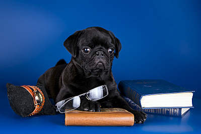 800 X 535 100.1 Kb 800 X 565 121.2 Kb 800 X 540 105.9 Kb      