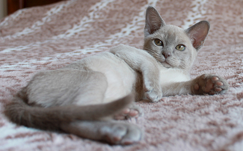 1920 X 1193 436.1 Kb ��������� ������� ���������� ������.